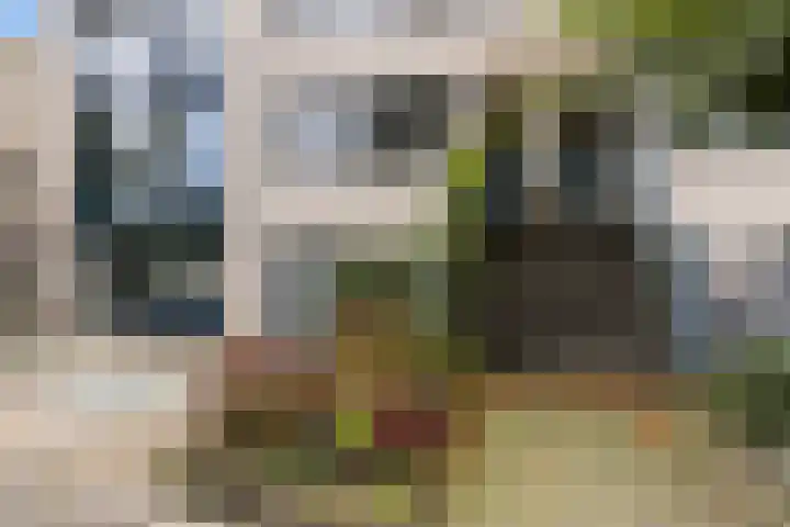 Afrikaring 39 Amersfoort thumbnail 52