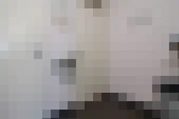 Afrikaring 53 Amersfoort thumbnail 21