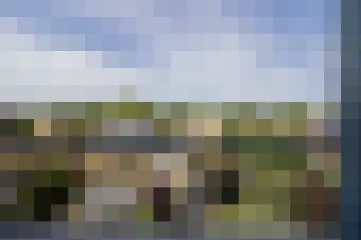 Afrikaring 53 Amersfoort thumbnail 38