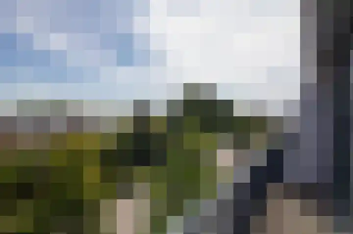 Afrikaring 53 Amersfoort thumbnail 42