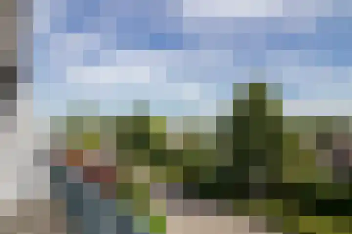 Afrikaring 53 Amersfoort thumbnail 43