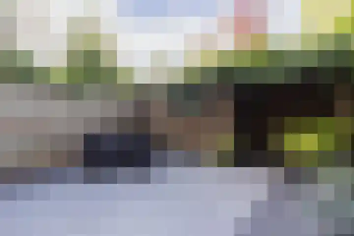 Afrikaring 53 Amersfoort thumbnail 51