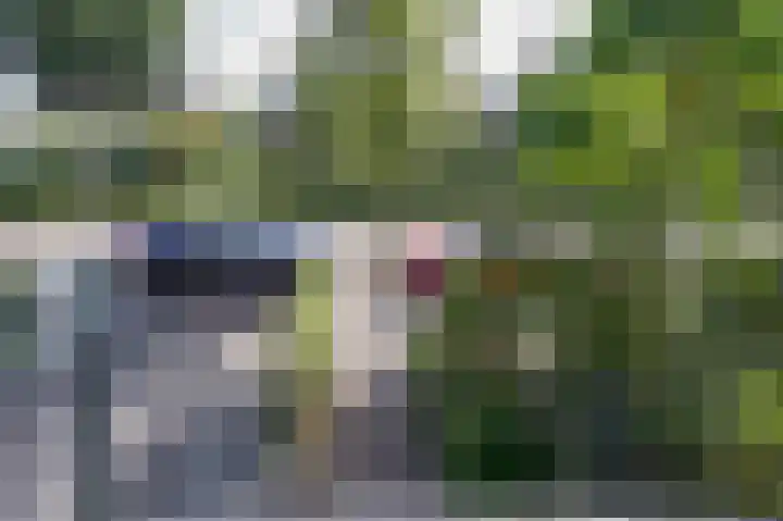 Afrikaring 53 Amersfoort thumbnail 54