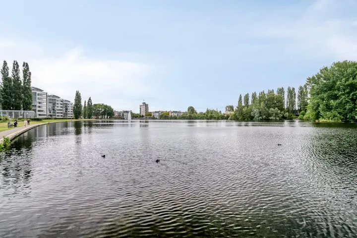 Afrikaring 59 Amersfoort thumbnail 42