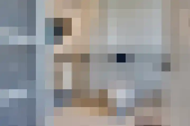Afrikaring 81 Amersfoort thumbnail 31