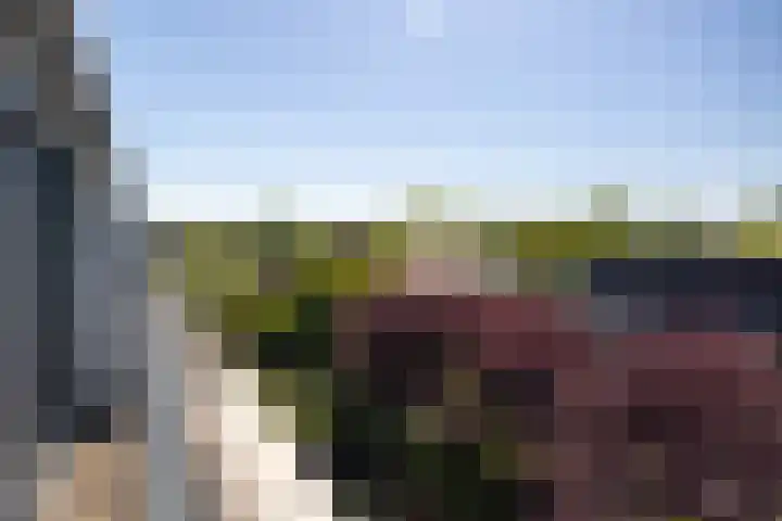 Afrikaring 81 Amersfoort thumbnail 37