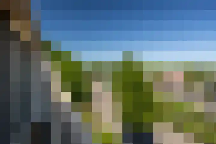 Afrikaring 81 Amersfoort thumbnail 38