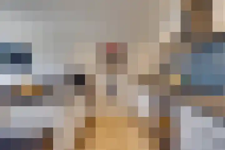 Afrikaring 81 Amersfoort thumbnail 5