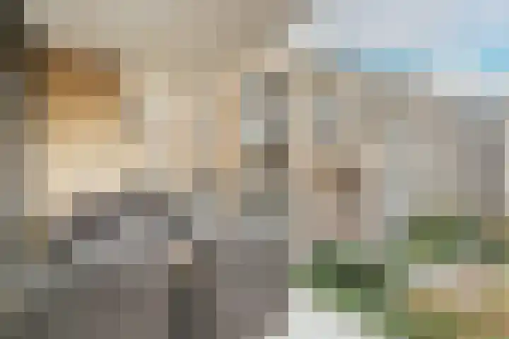 Afroditekade 137 Amsterdam thumbnail 13