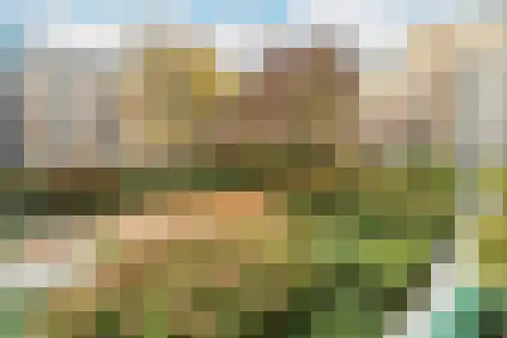 Afroditekade 137 Amsterdam thumbnail 14