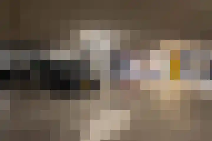 Afroditekade 137 Amsterdam thumbnail 19