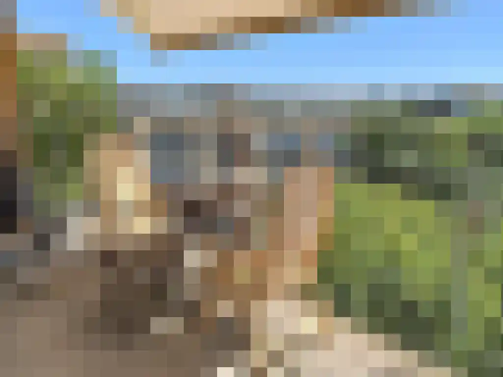 Afroditekade 168 Amsterdam thumbnail 6