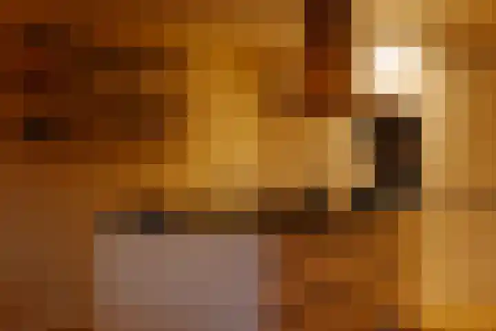Afroditekade 175 Amsterdam thumbnail 12