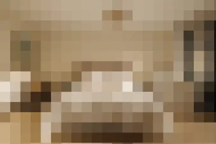 Afroditekade 175 Amsterdam thumbnail 19