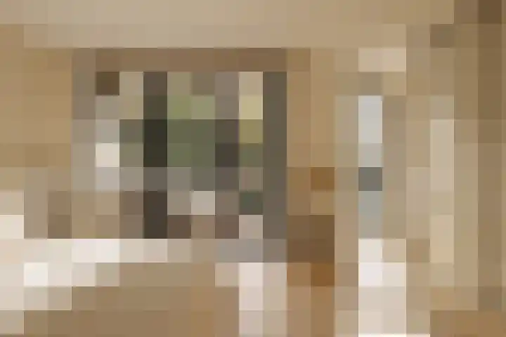 Afroditekade 175 Amsterdam thumbnail 22