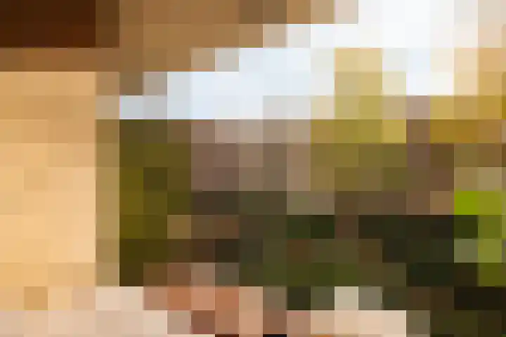 Afroditekade 175 Amsterdam thumbnail 23