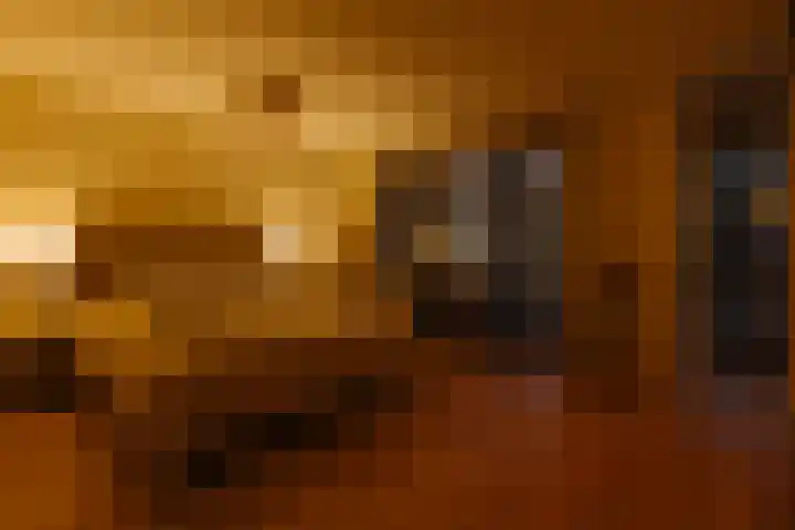 Afroditekade 175 Amsterdam thumbnail 25