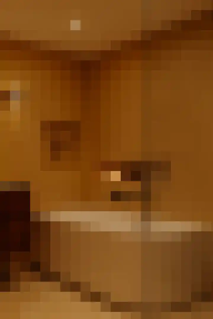 Afroditekade 175 Amsterdam thumbnail 29