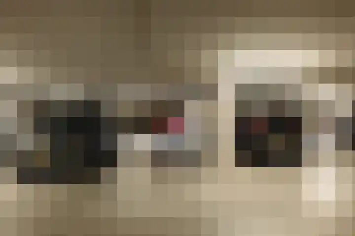 Afroditekade 175 Amsterdam thumbnail 31