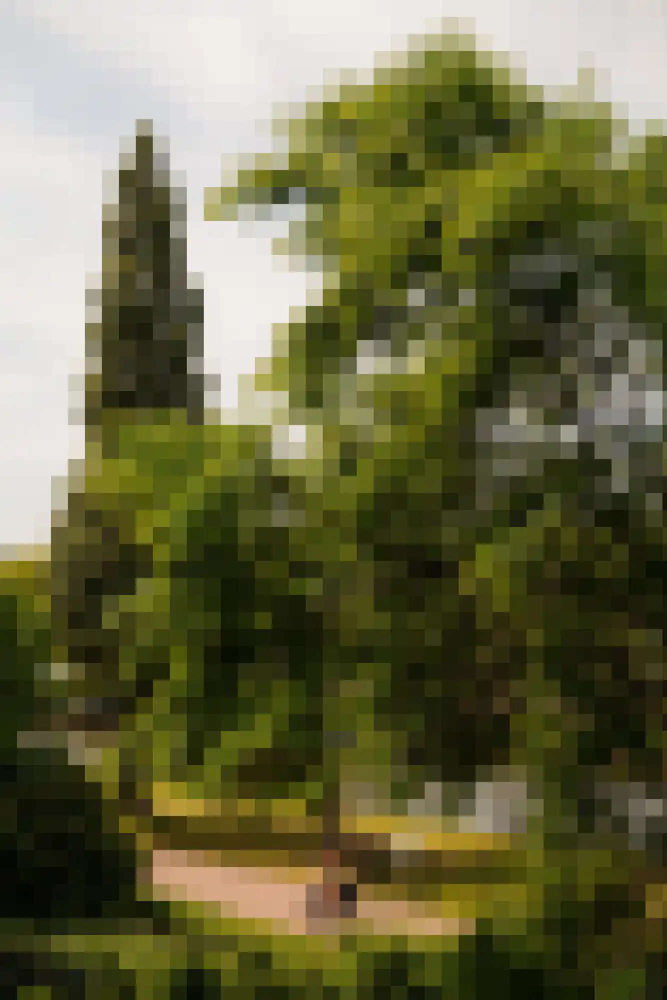 Afroditekade 176 B Amsterdam thumbnail 13