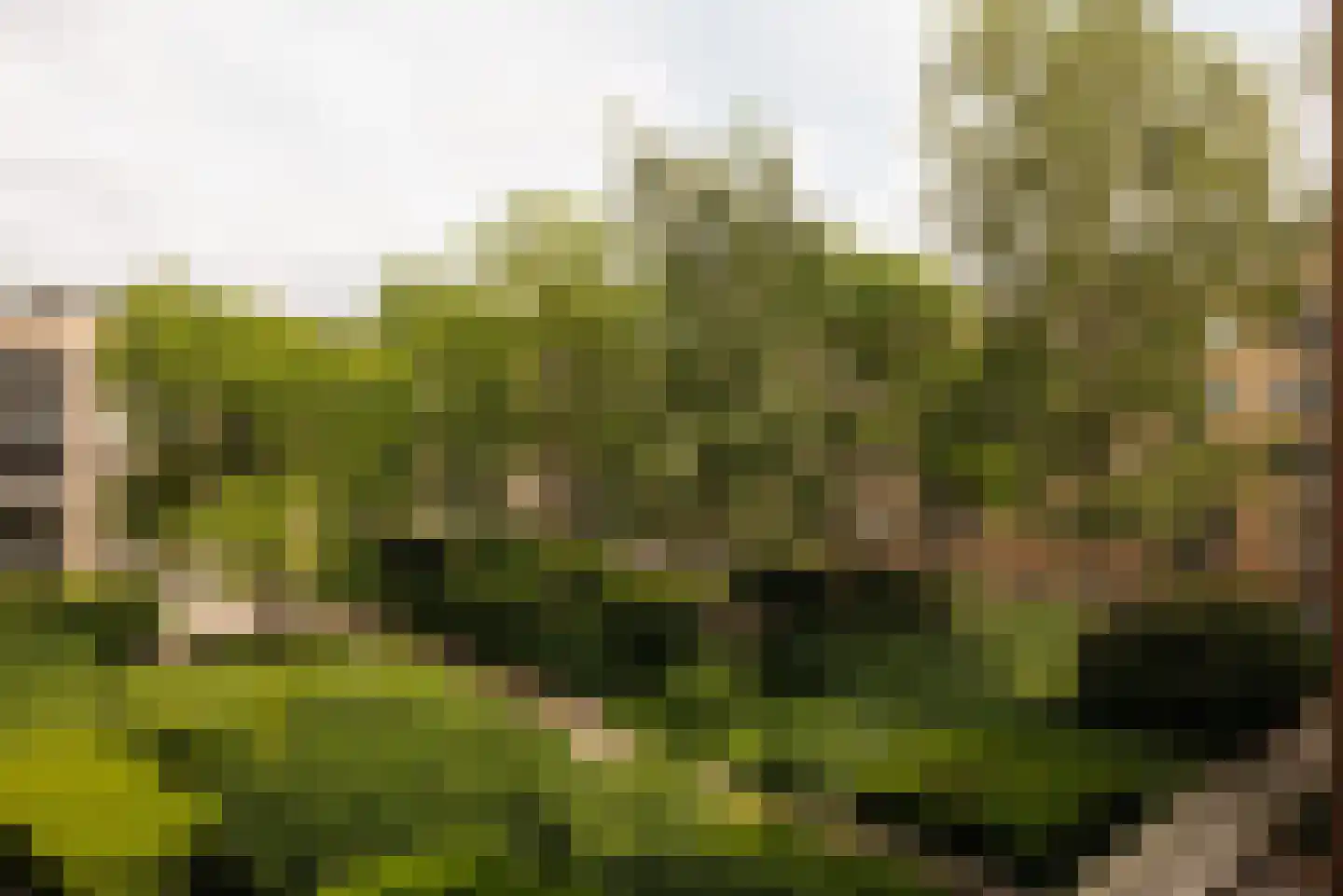 Afroditekade 176 B Amsterdam thumbnail 25