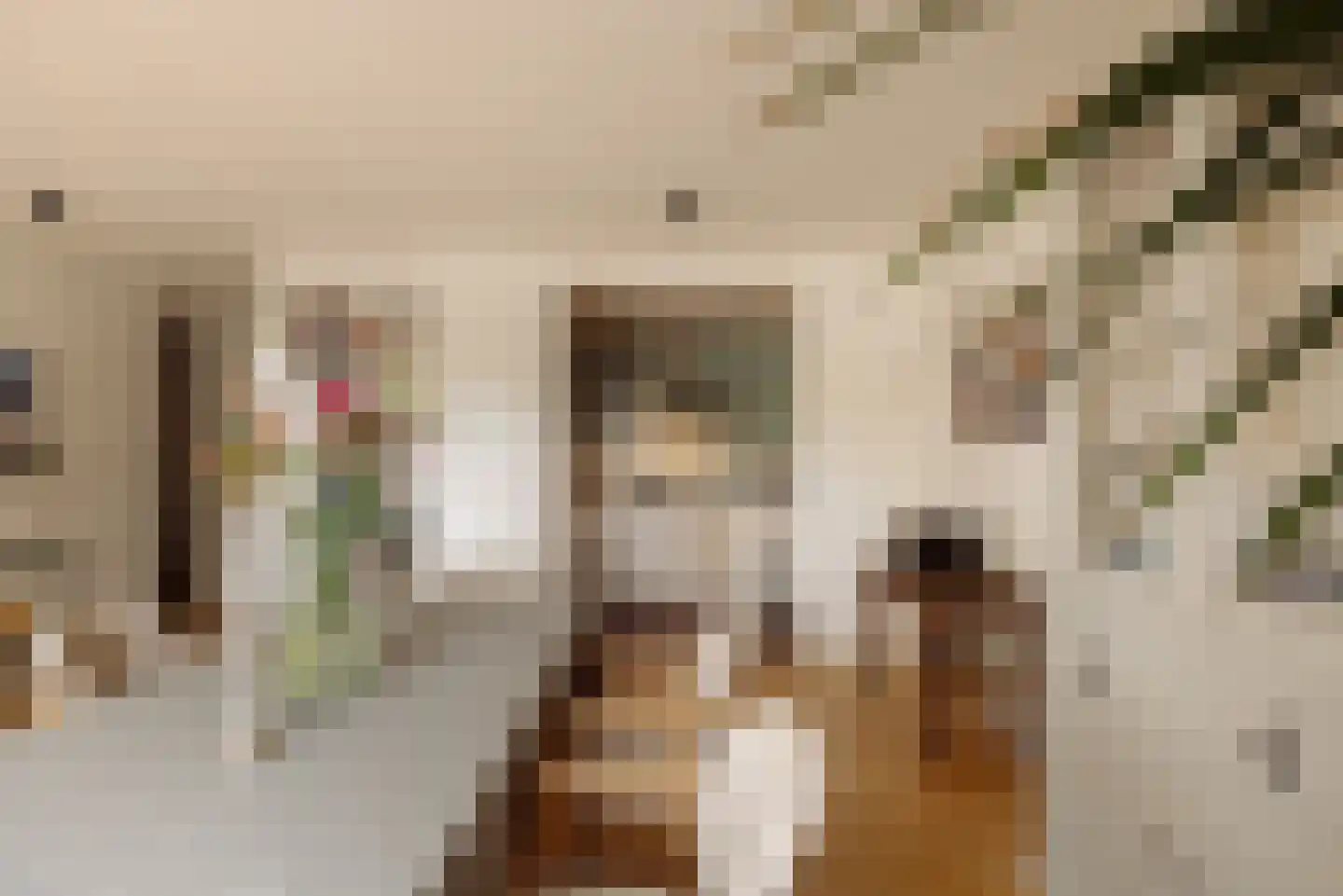 Afroditekade 176 B Amsterdam thumbnail 9