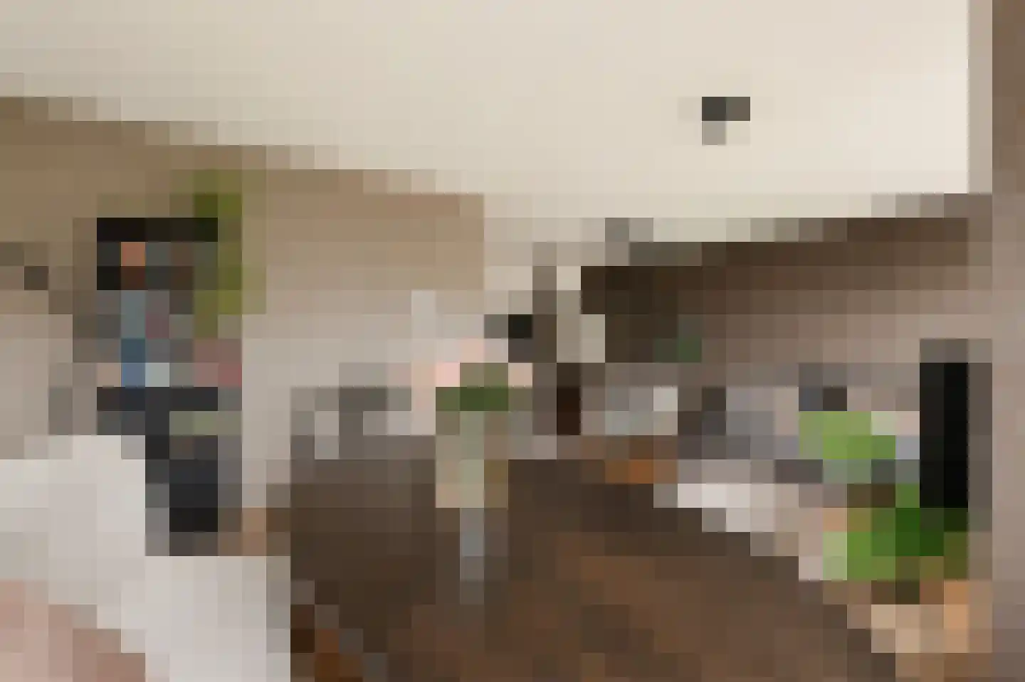 Afroditekade 29 B Amsterdam thumbnail 12