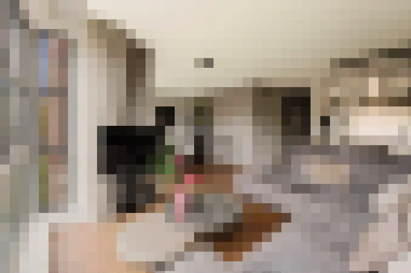 Afroditekade 29 B Amsterdam thumbnail 13