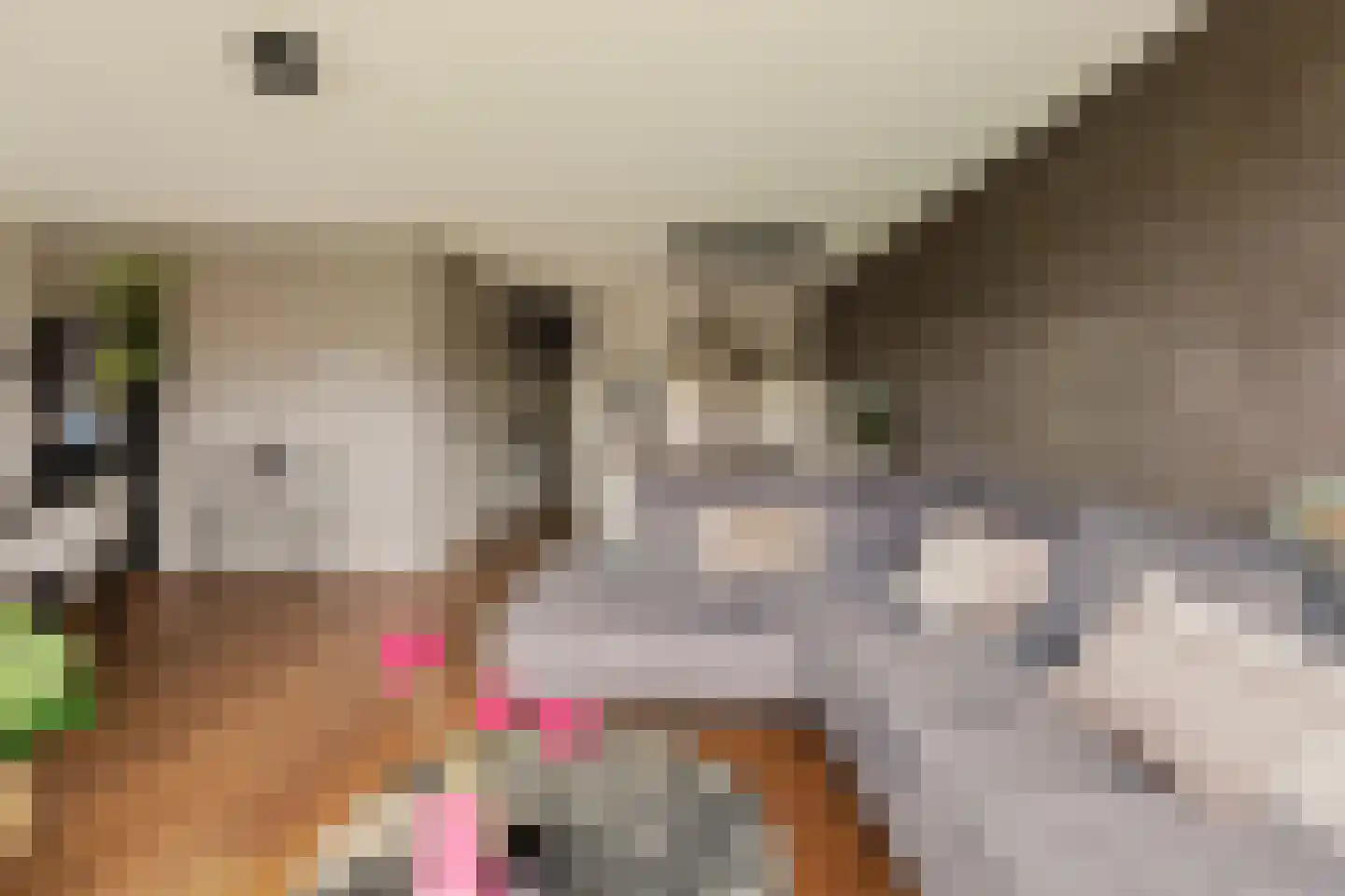 Afroditekade 29 B Amsterdam thumbnail 14
