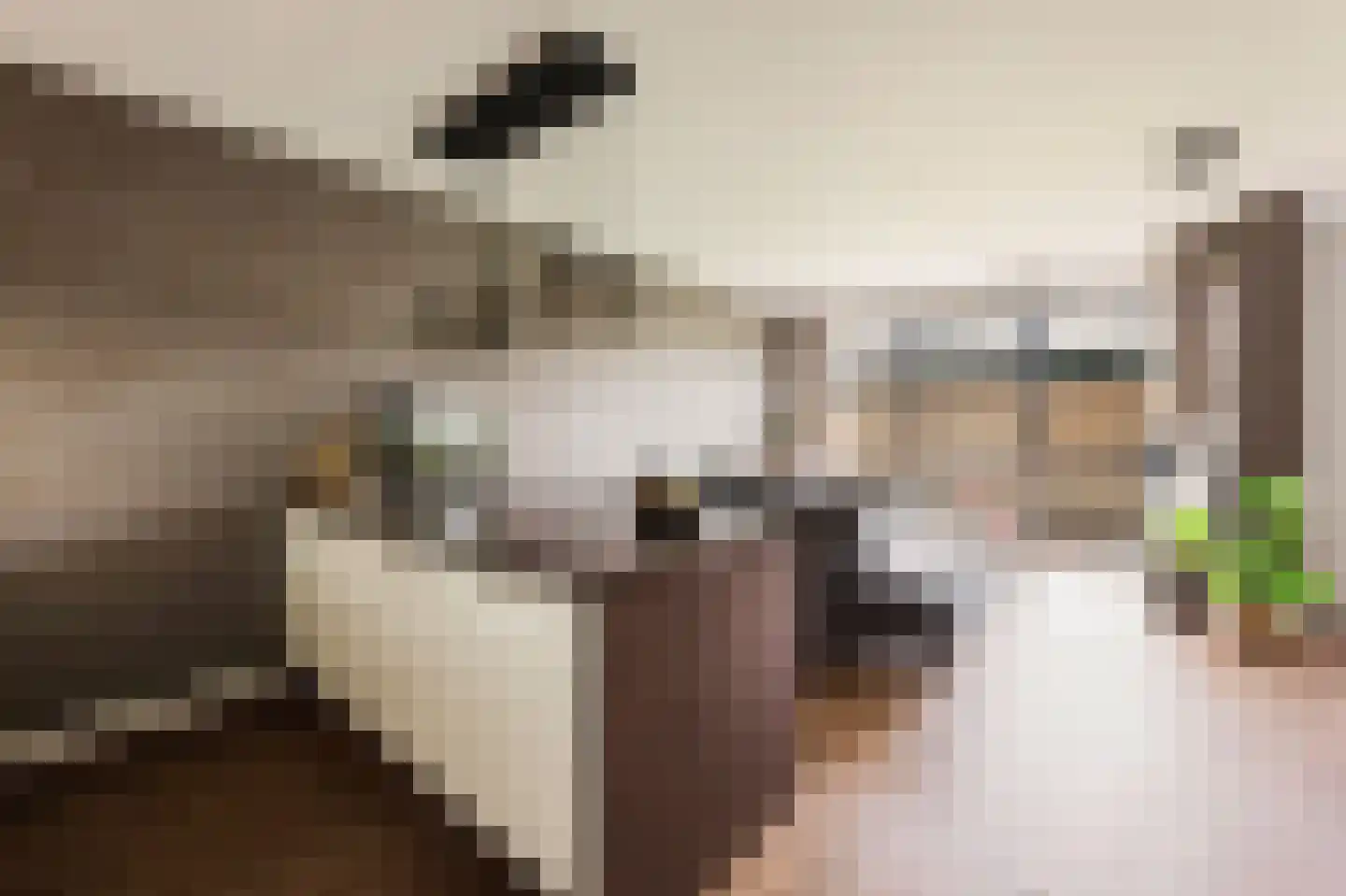 Afroditekade 29 B Amsterdam thumbnail 15