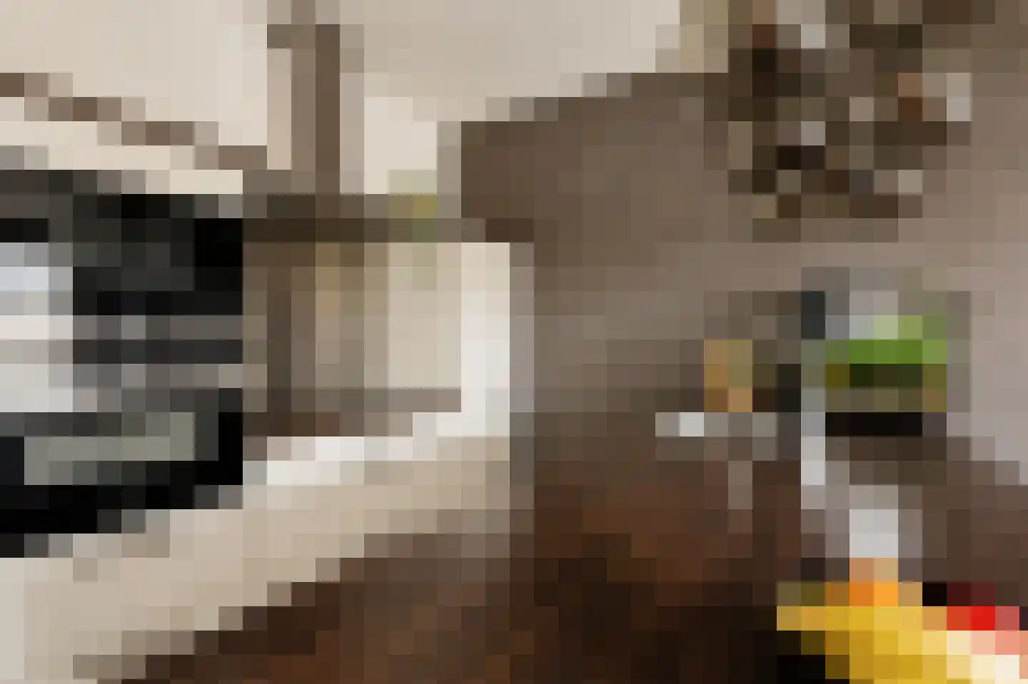 Afroditekade 29 B Amsterdam thumbnail 17