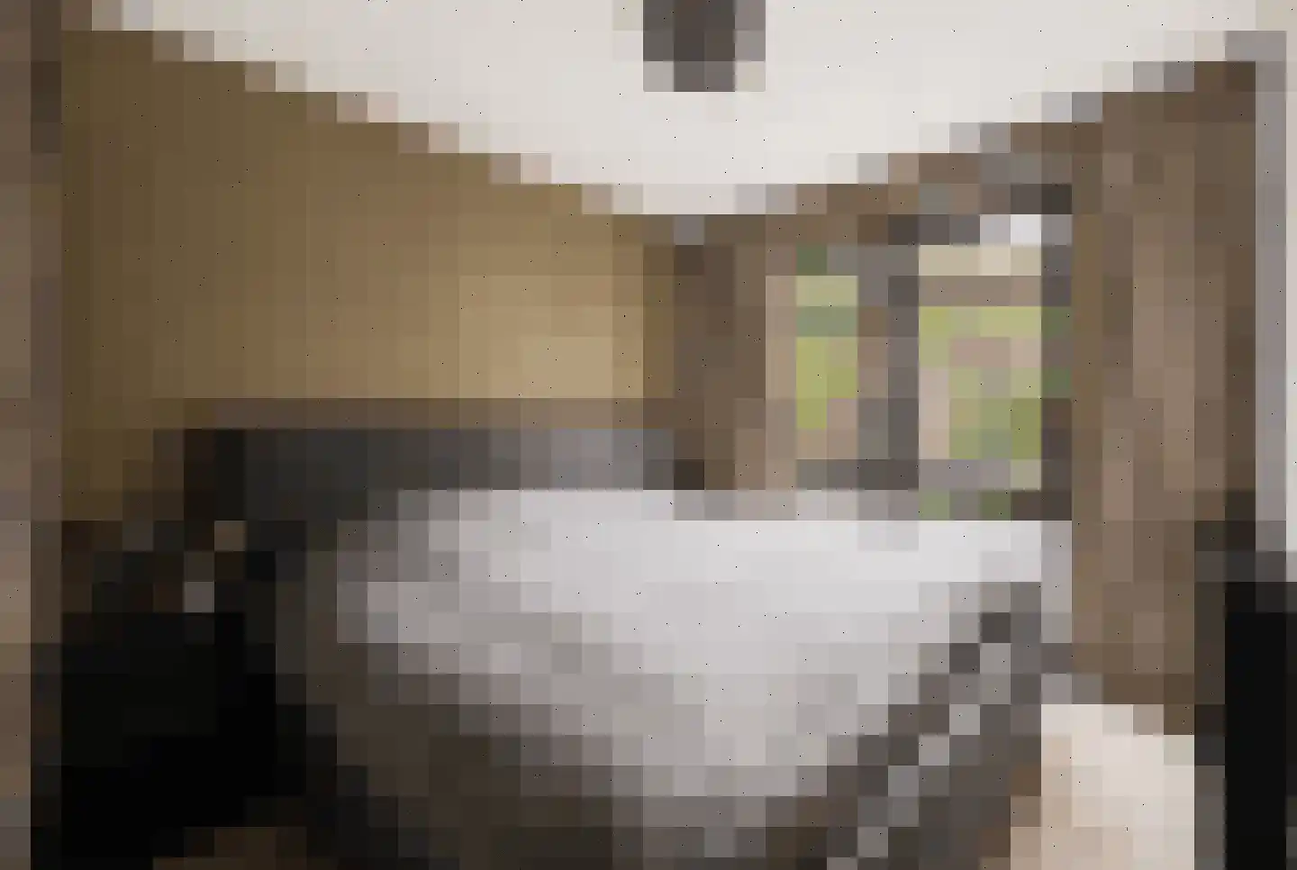 Afroditekade 29 B Amsterdam thumbnail 19