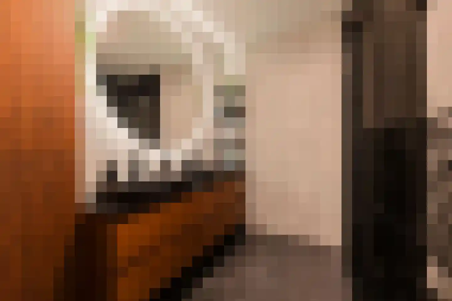 Afroditekade 29 B Amsterdam thumbnail 25