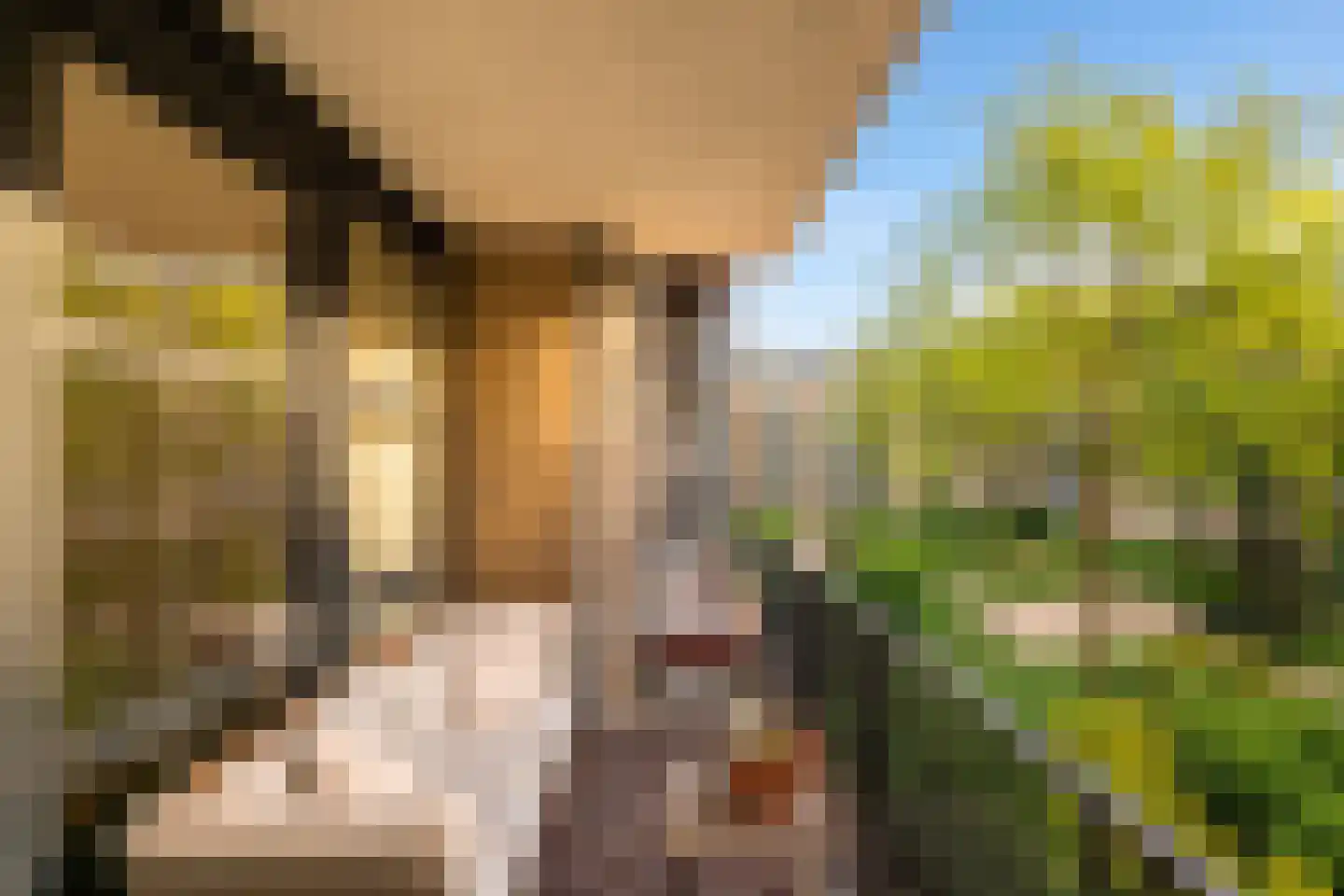 Afroditekade 29 B Amsterdam thumbnail 31