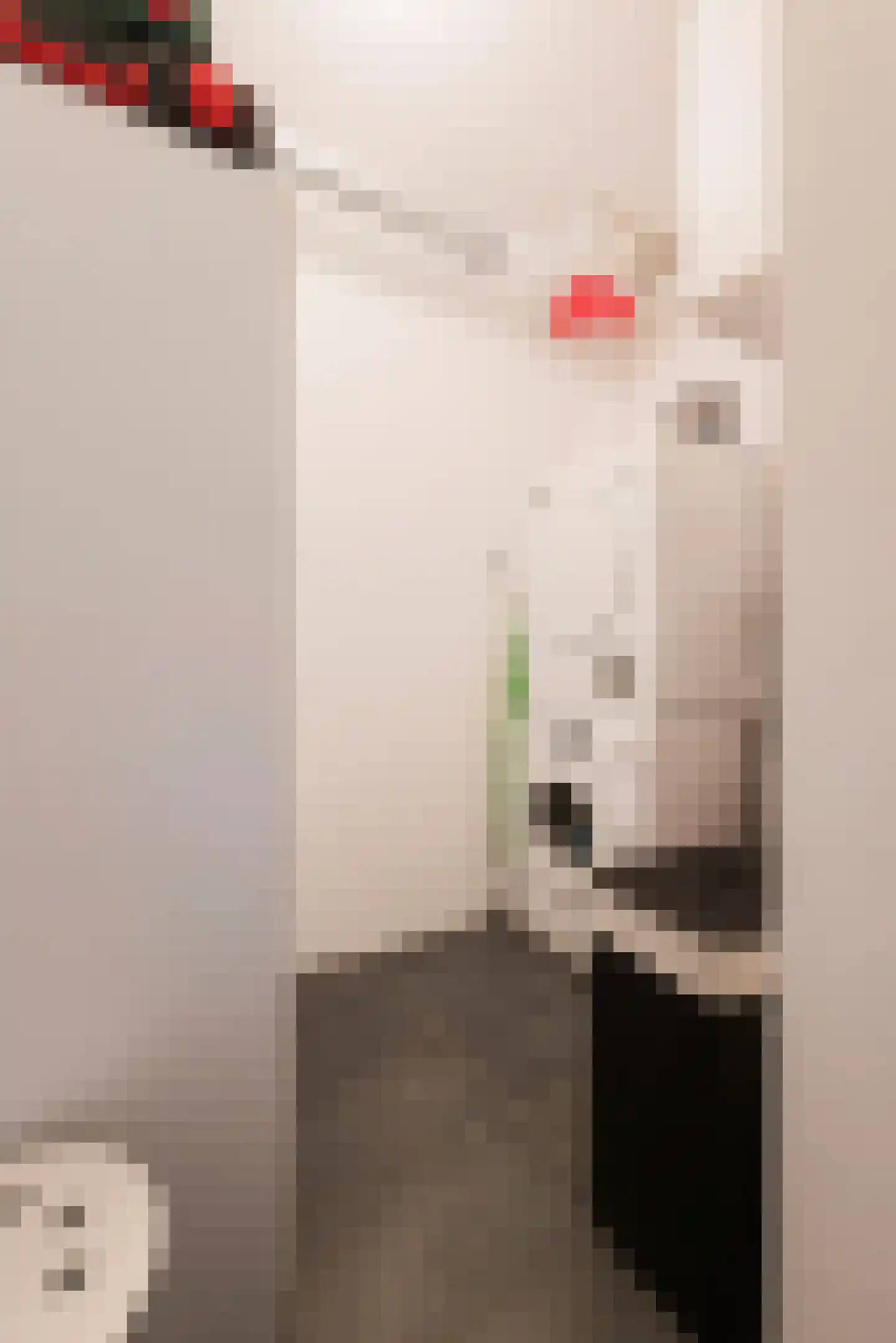 Afroditekade 29 B Amsterdam thumbnail 33