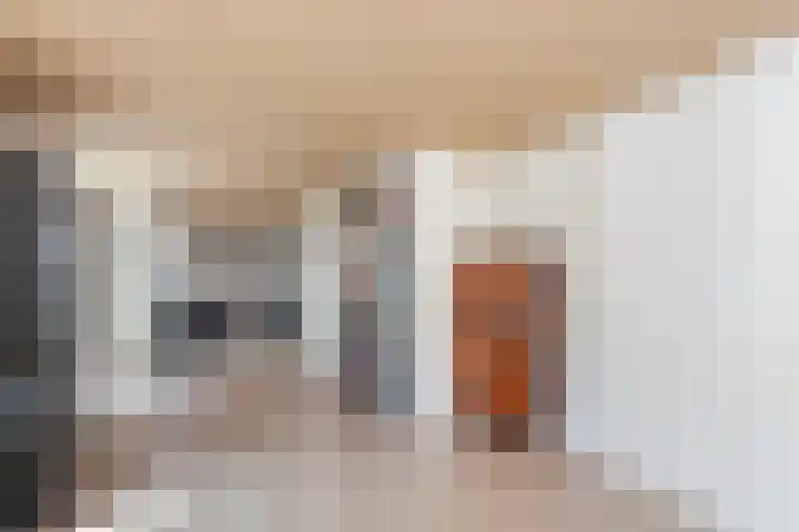 Afrol 2 Vlaardingen thumbnail 12