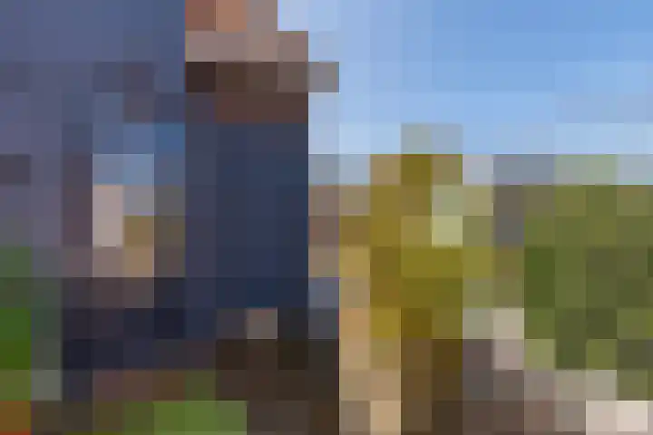 Afrol 2 Vlaardingen thumbnail 19