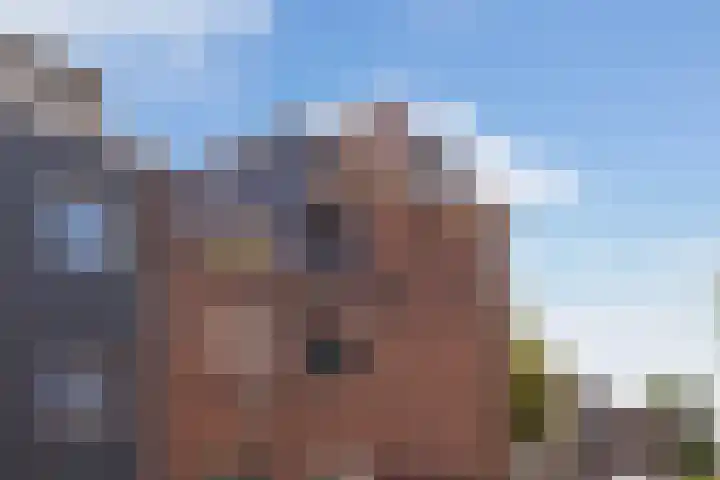 Afrol 2 Vlaardingen thumbnail 20