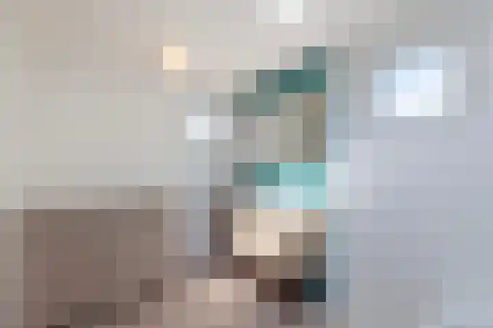 Afrol 2 Vlaardingen thumbnail 25