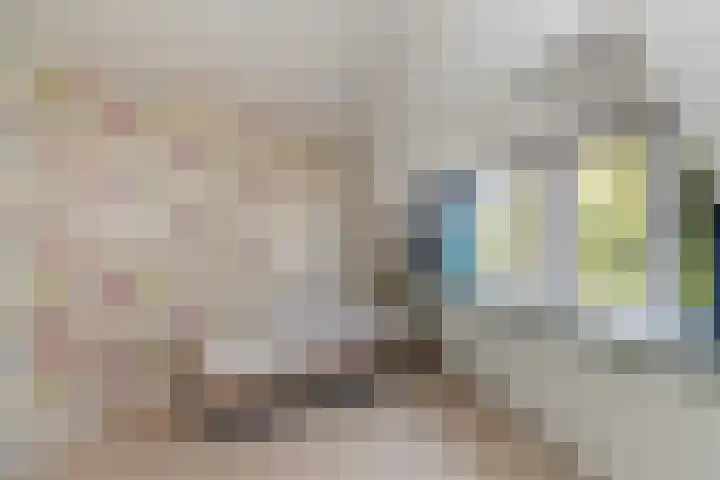 Afrol 2 Vlaardingen thumbnail 33