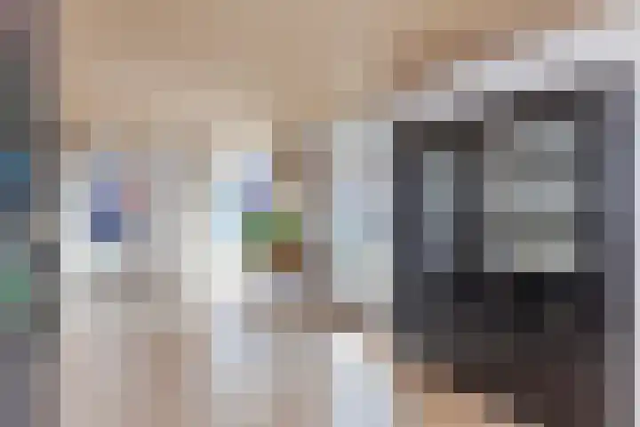 Afrol 2 Vlaardingen thumbnail 4