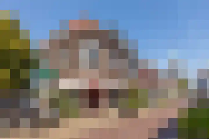 Afrol 2 Vlaardingen thumbnail 5