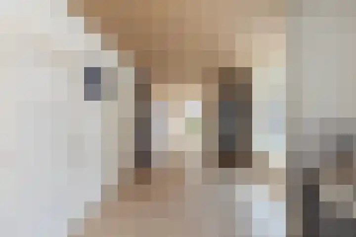 Afrol 2 Vlaardingen thumbnail 8