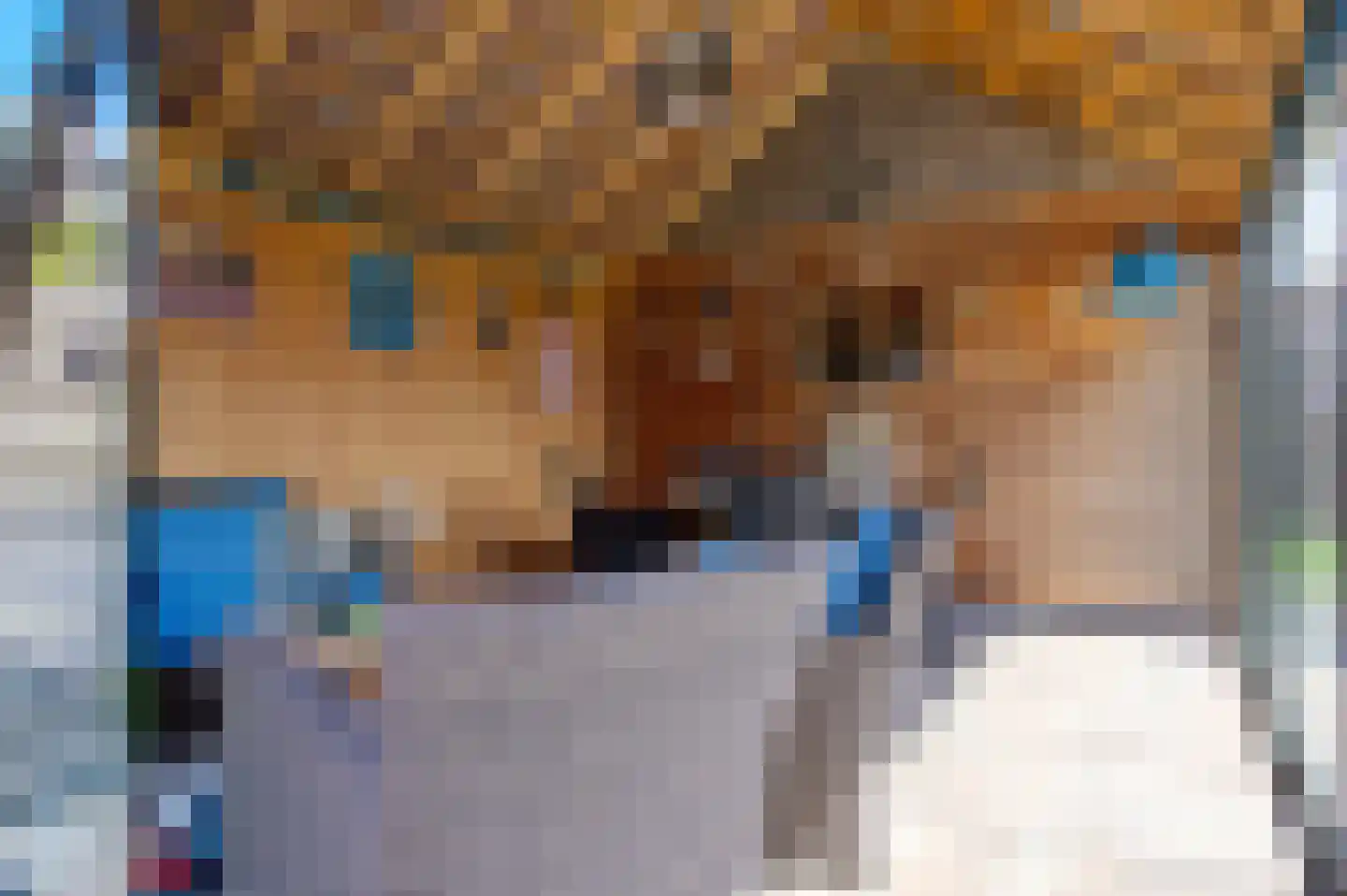 Afschrijver 11 Sappemeer thumbnail 15