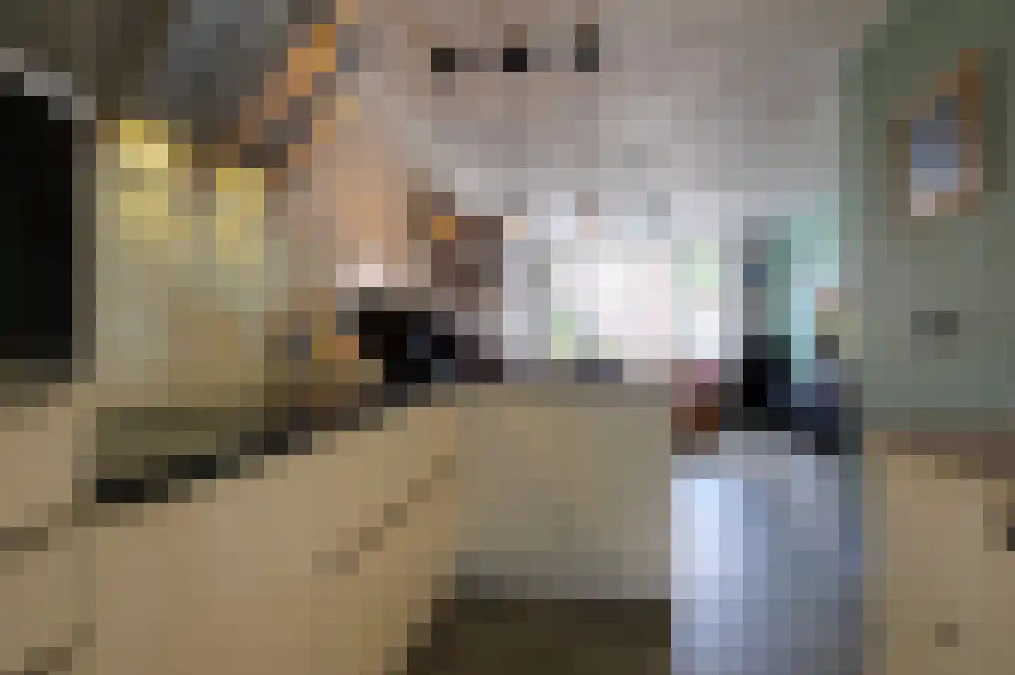Afschrijver 11 Sappemeer thumbnail 26