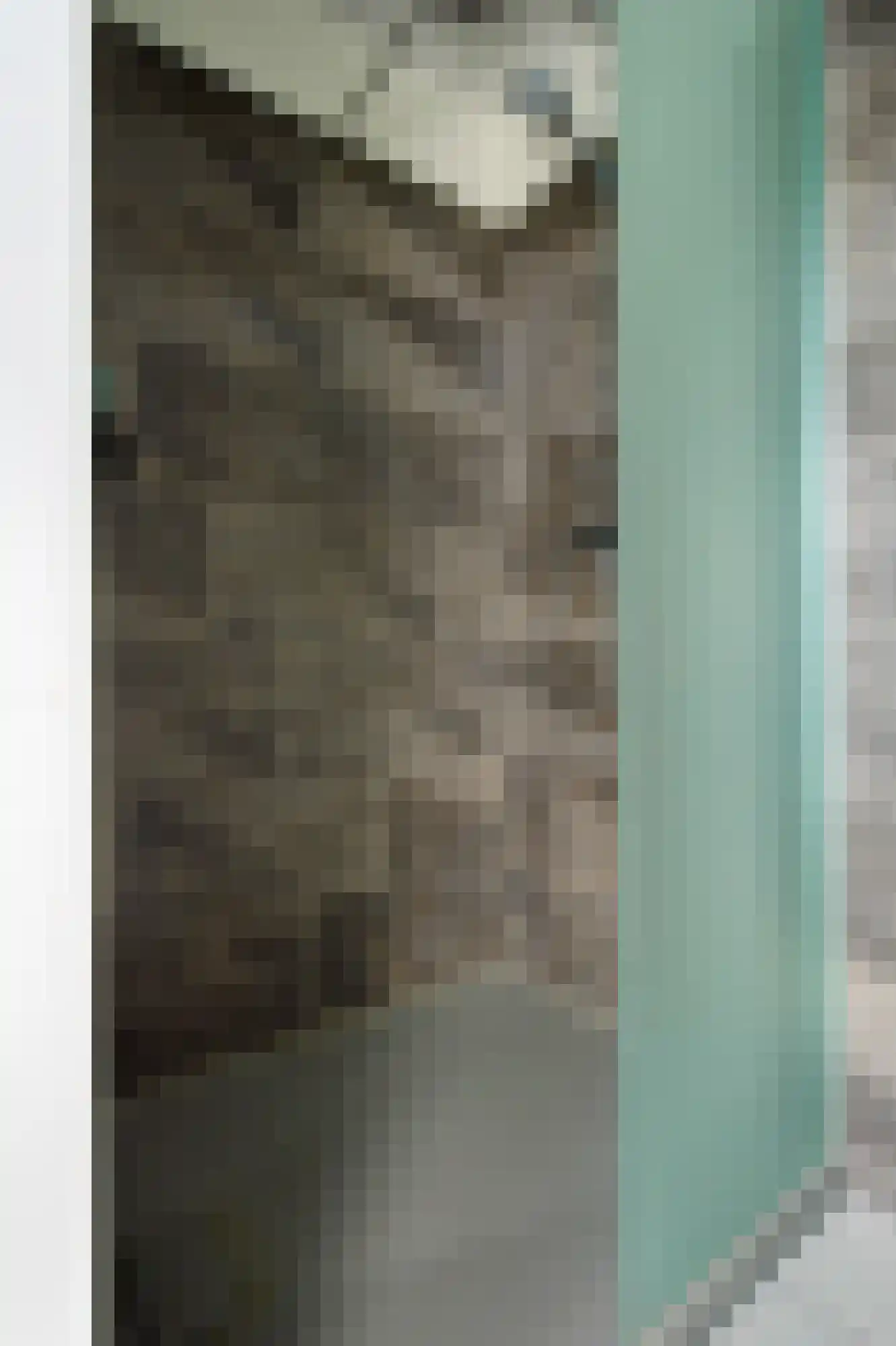 Afschrijver 11 Sappemeer thumbnail 35