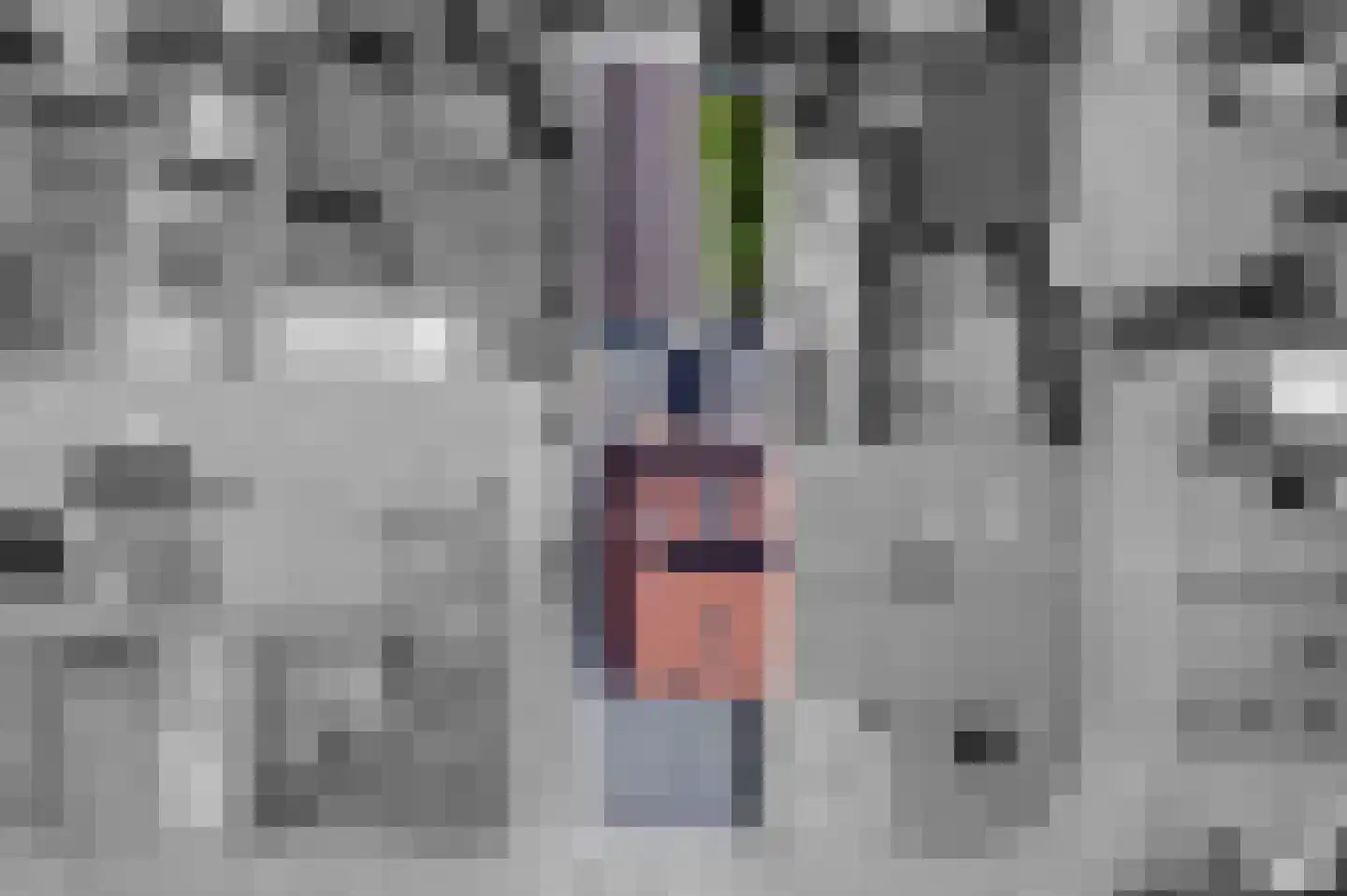 Afschrijver 11 Sappemeer thumbnail 4