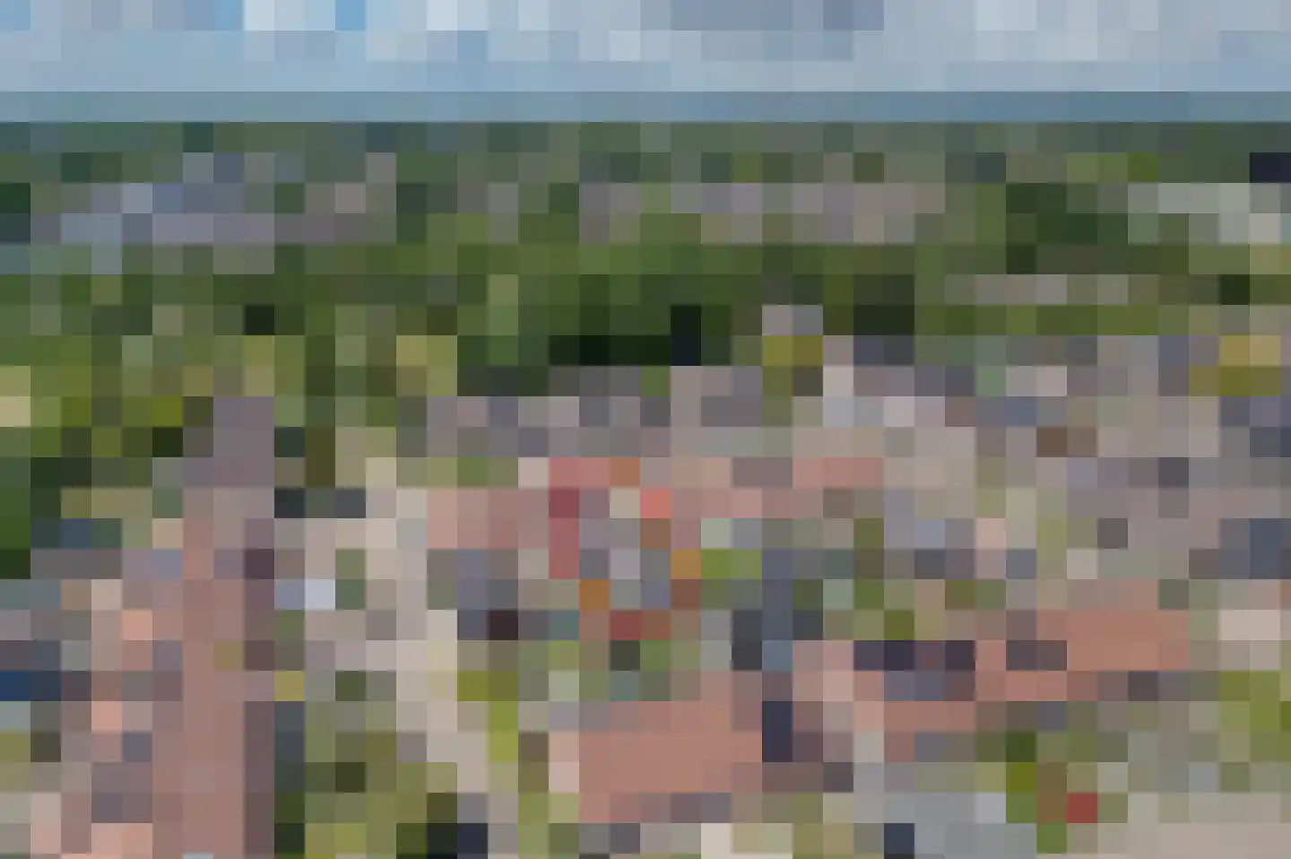 Afschrijver 11 Sappemeer thumbnail 9