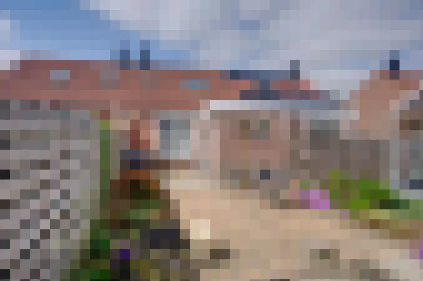 Afschrijver 13 Sappemeer thumbnail 12