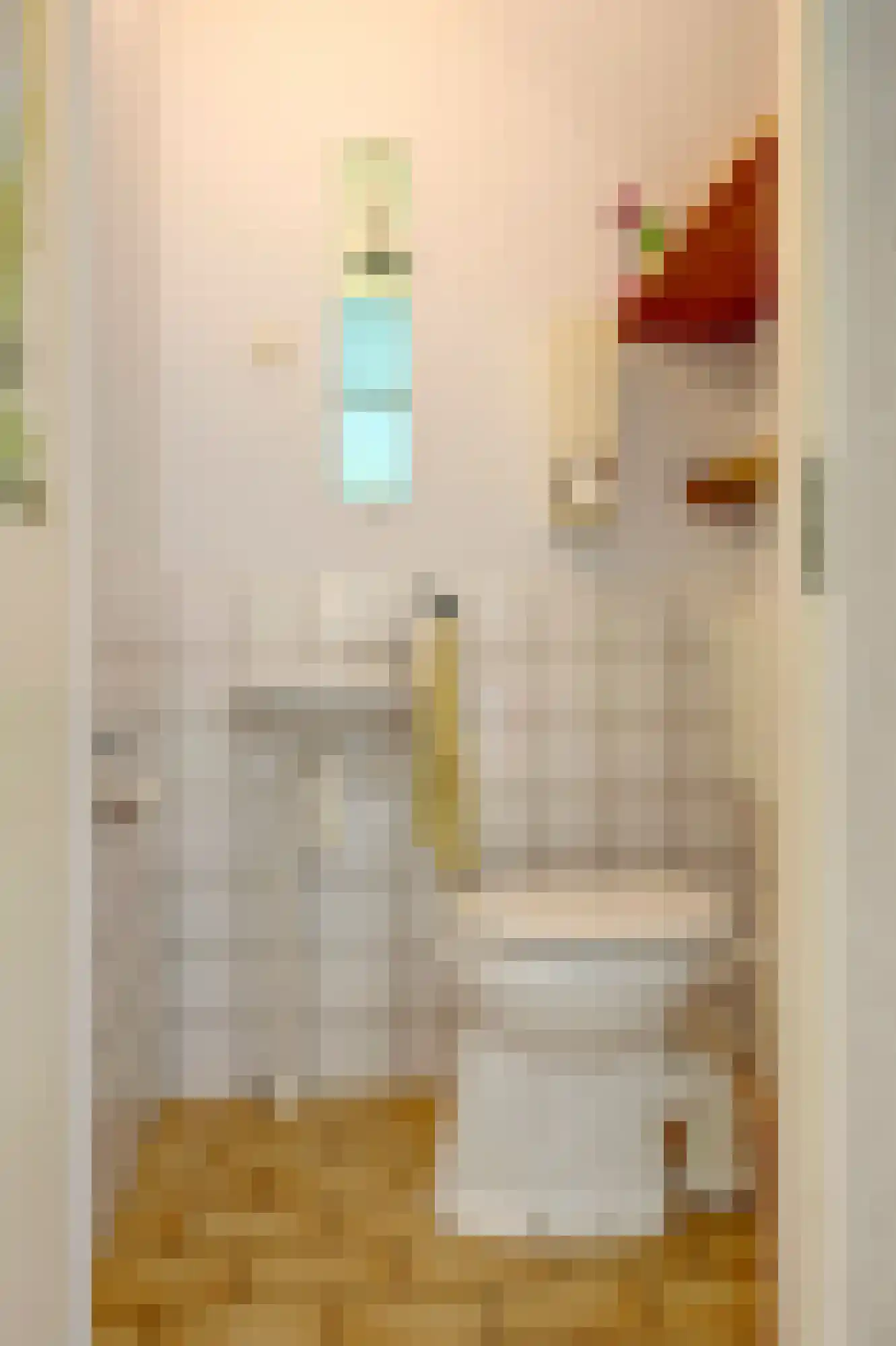 Afschrijver 13 Sappemeer thumbnail 14